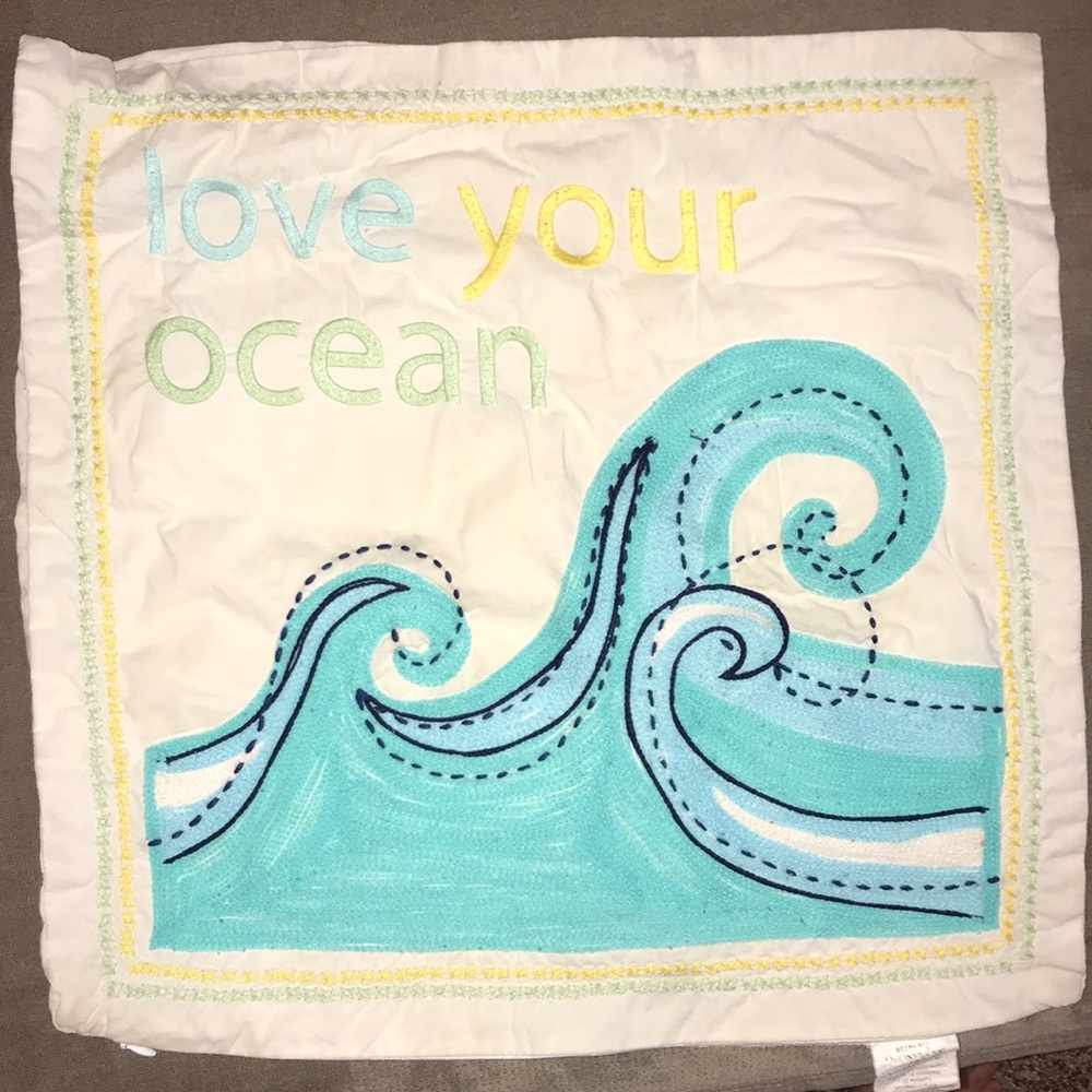 Pottery Barn pillow case